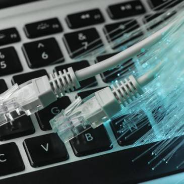 Fibre optique