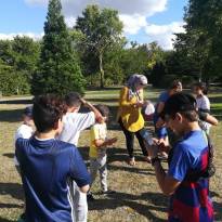 Animation musicale 