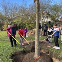 Plantation de l'arbre du centenaire