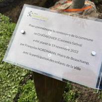 Plantation de l'arbre du centenaire