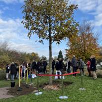 Plantation de l'arbre du centenaire